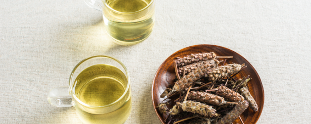 Prunella: Infusing Wellness with the Healing Elixir of Herbal Tea