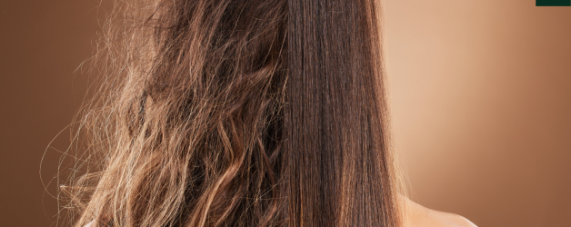 Dive into the World of Hair Care: Say Goodbye to Frizz with These Proven Tips