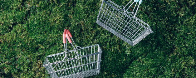 Your Sustainable Shopping Guide: Easy Swaps for a Greener Lifestyle